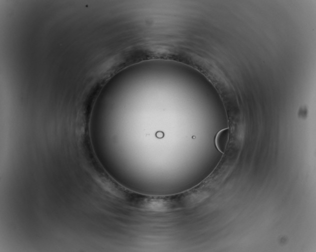 X0000103320710200809051147