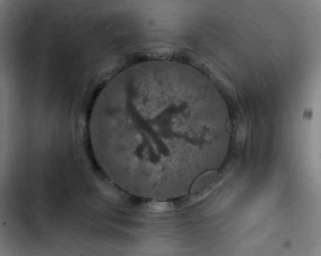 X0000103320711200809051147