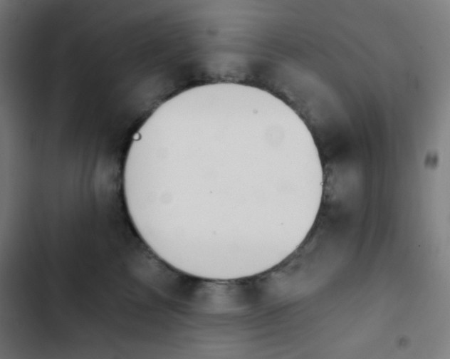 X0000103320713200809051147
