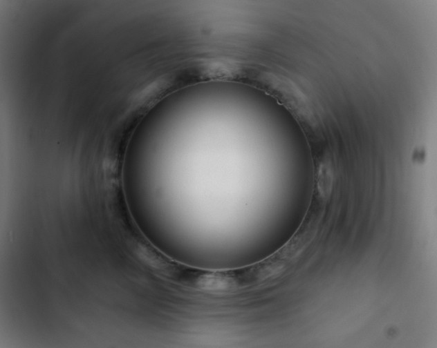 X0000103320714200809051147