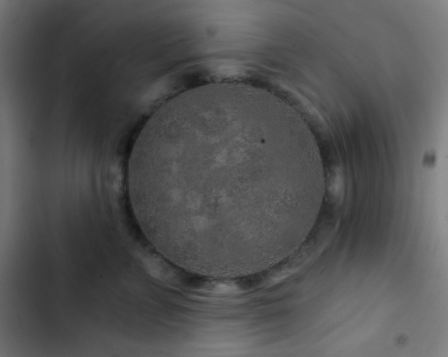 X0000103320715200809051147