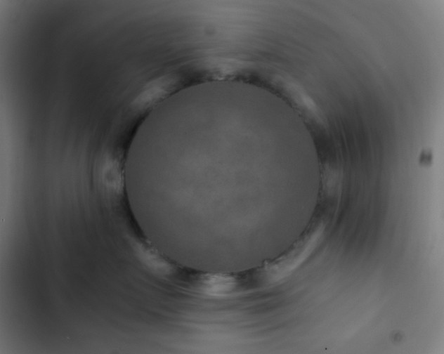 X0000103320719200809051147