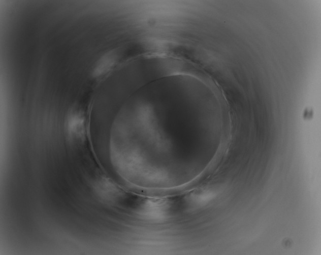 X0000103320720200809051147