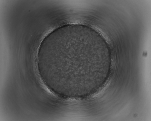 X0000103320721200809051146