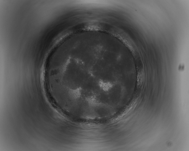 X0000103320722200809051146