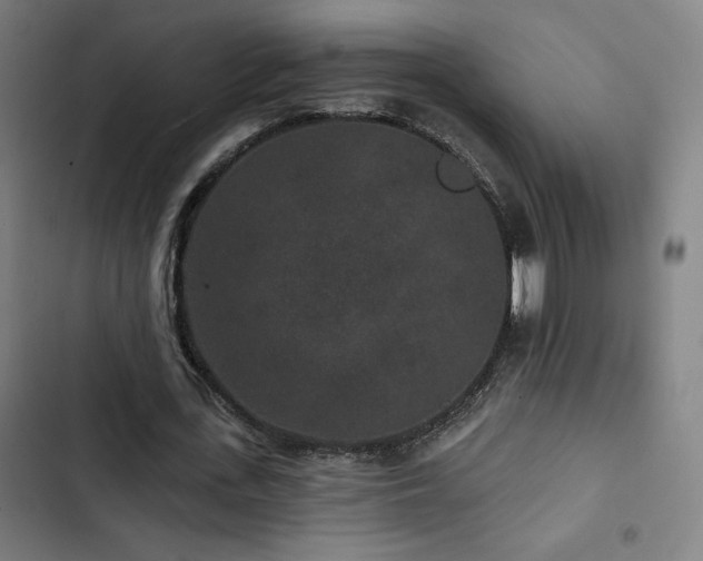 X0000103320723200809051146