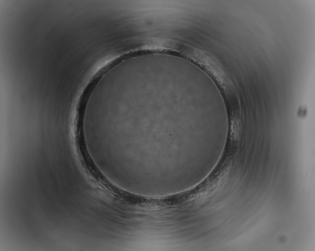 X0000103320724200809051146