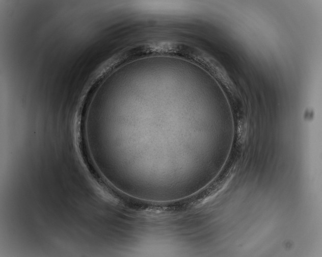 X0000103320725200809051146