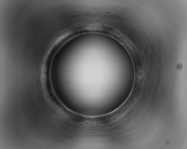 X0000103320727200809051146