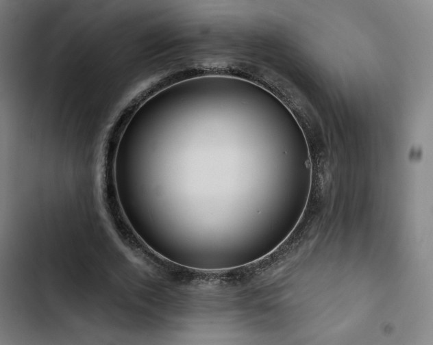 X0000103320728200809051146