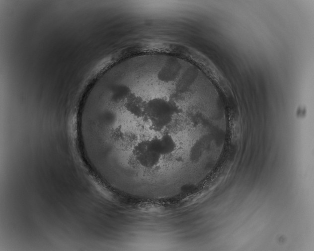 X0000103320729200809051146