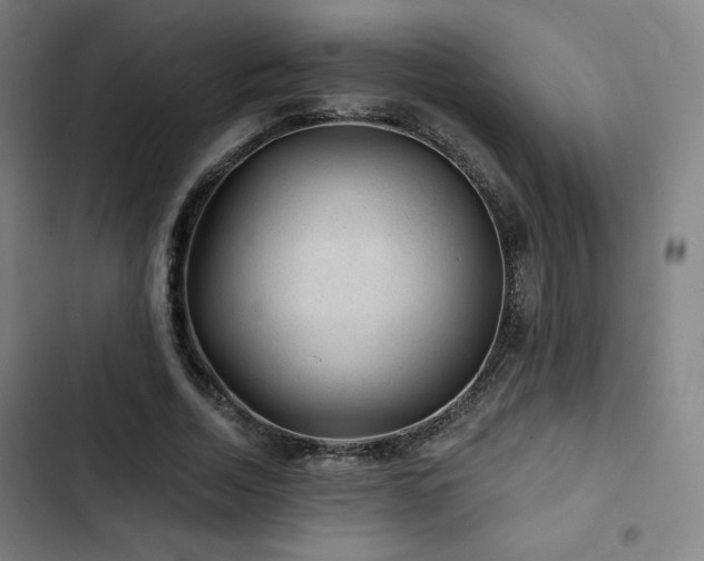 X0000103320730200809051147