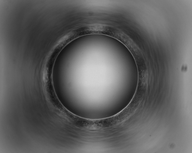 X0000103320731200809051147