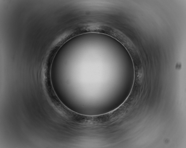 X0000103320732200809051147