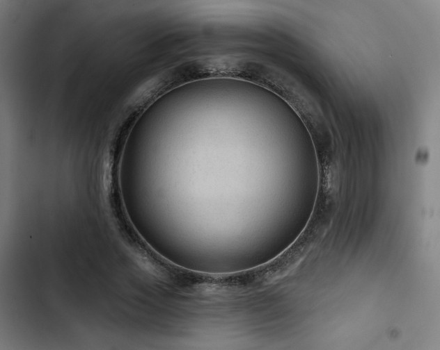 X0000103320733200809051147