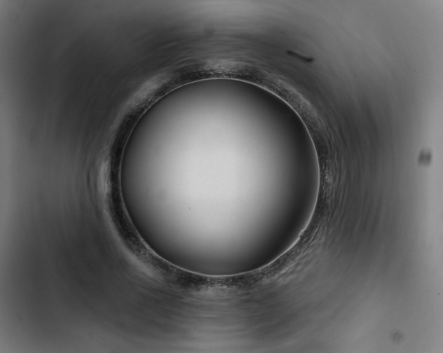 X0000103320734200809051147