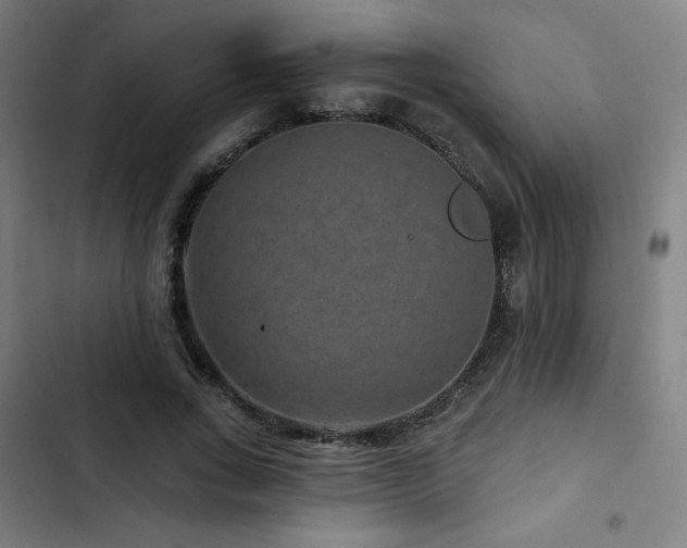 X0000103320735200809051147