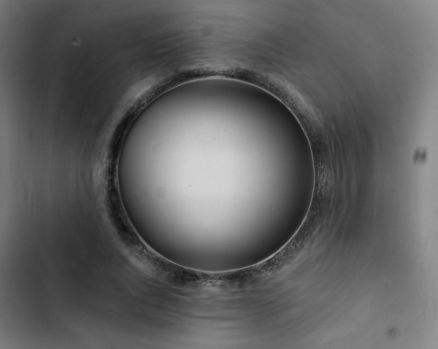 X0000103320736200809051147