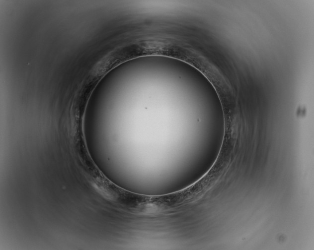 X0000103320737200809051147