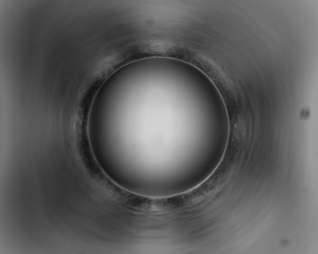X0000103320739200809051147