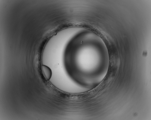 X0000103320740200809051147
