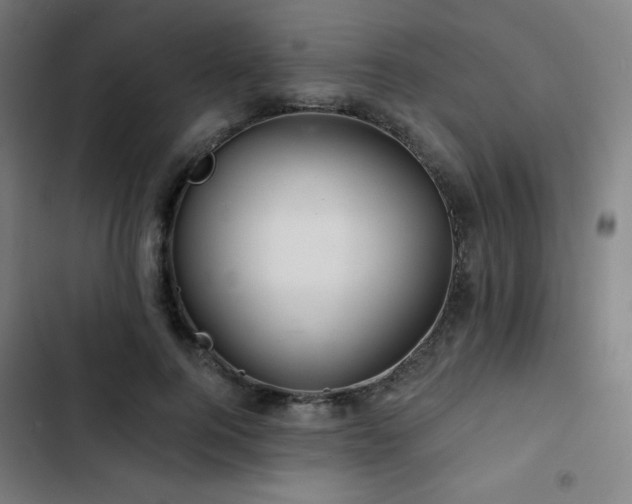 X0000103320744200809051147