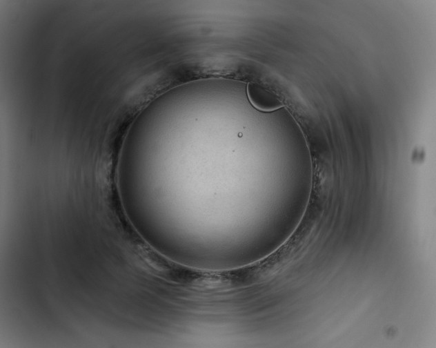 X0000103320745200809051147