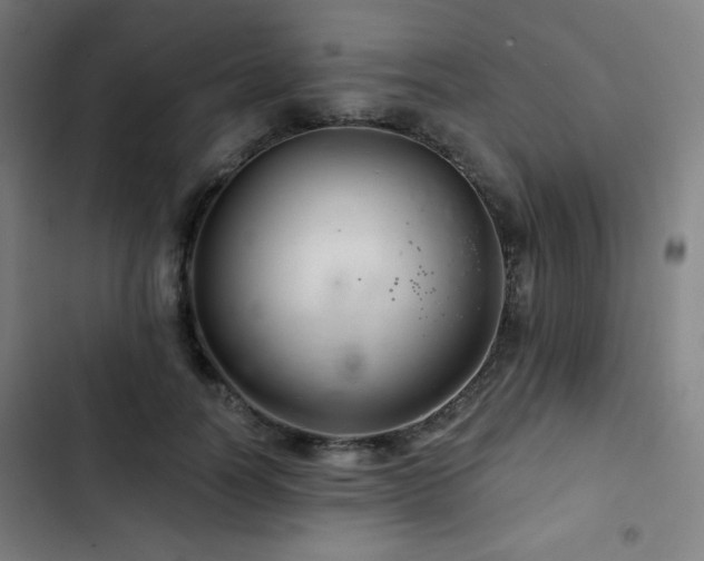 X0000103320746200809051147