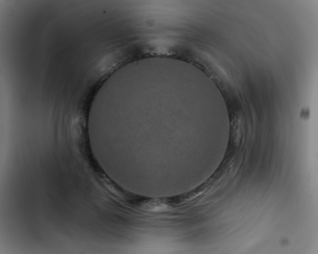 X0000103320747200809051147