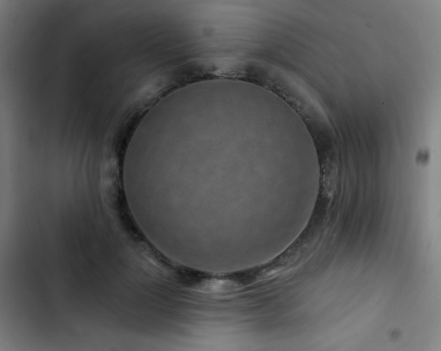 X0000103320748200809051147