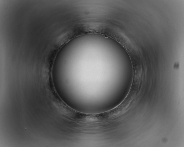 X0000103320749200809051147