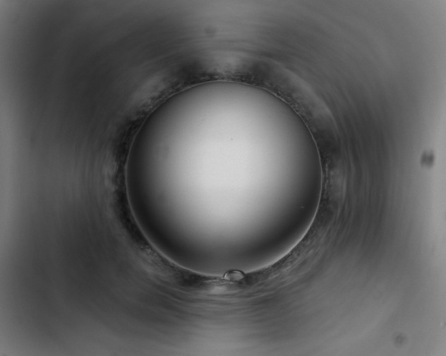 X0000103320750200809051147