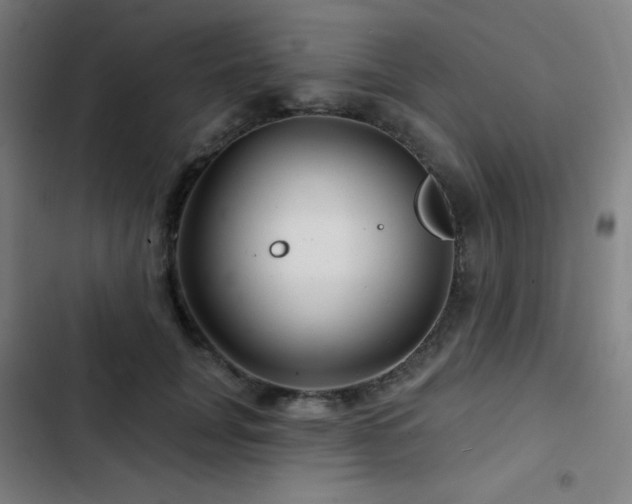 X0000103320751200809051147