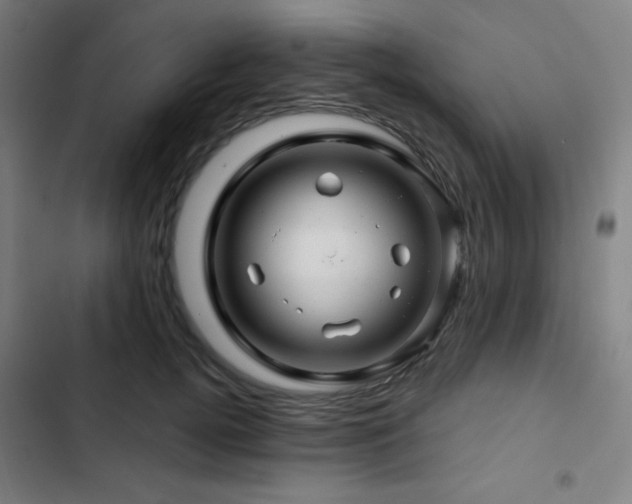 X0000103320752200809051147