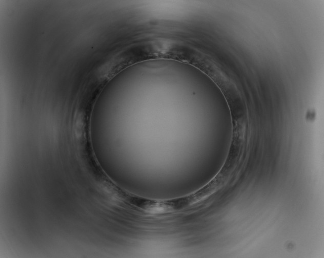 X0000103320754200809051147