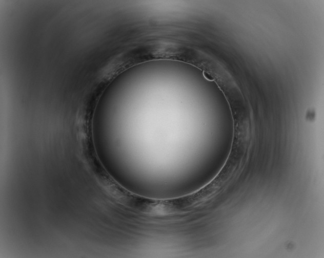 X0000103320755200809051147