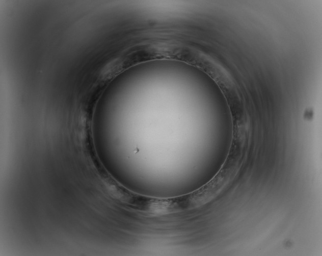X0000103320757200809051147
