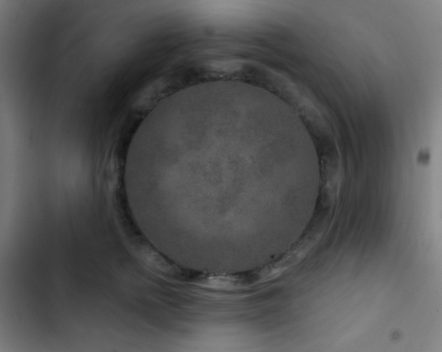 X0000103320758200809051147