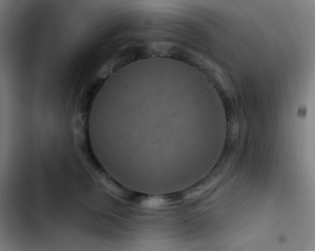 X0000103320759200809051147