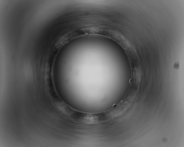 X0000103320760200809051147
