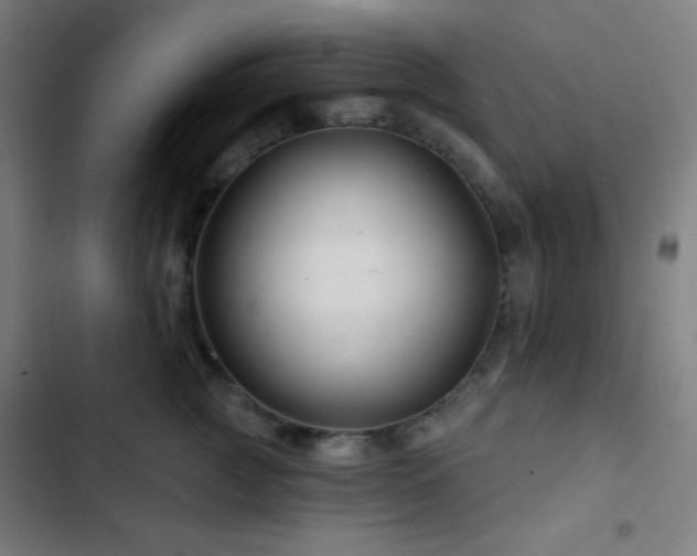 X0000103320761200809051147