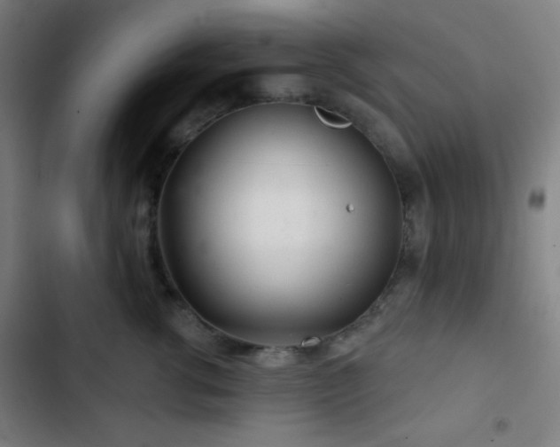X0000103320762200809051147