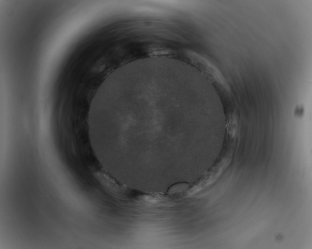 X0000103320763200809051147