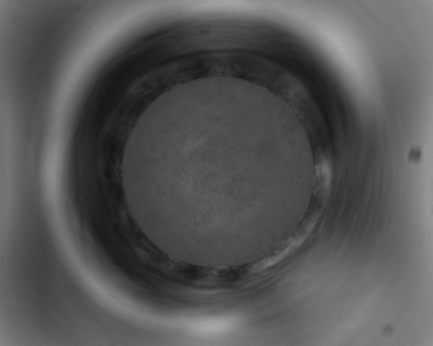 X0000103320765200809051147