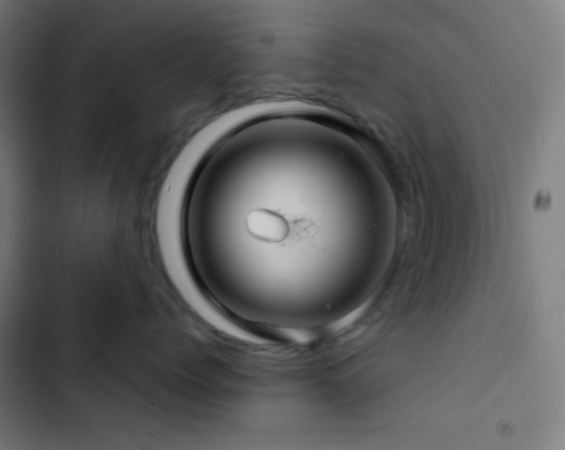 X0000103320768200809051147