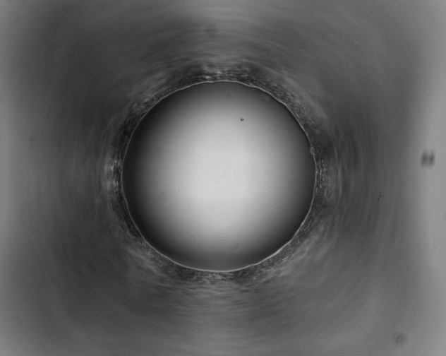 X0000103320770200809051146