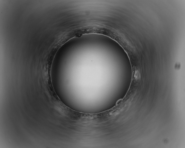 X0000103320771200809051146