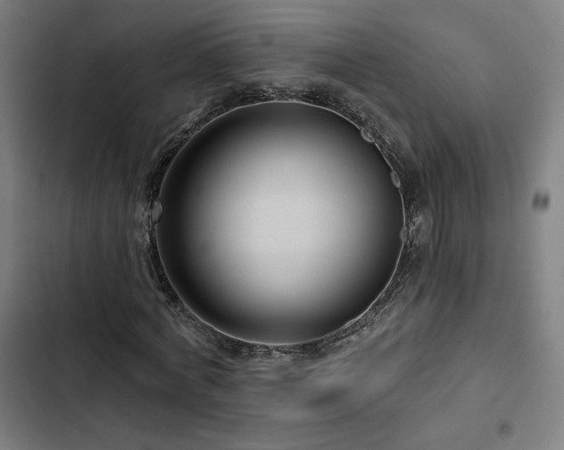 X0000103320772200809051146