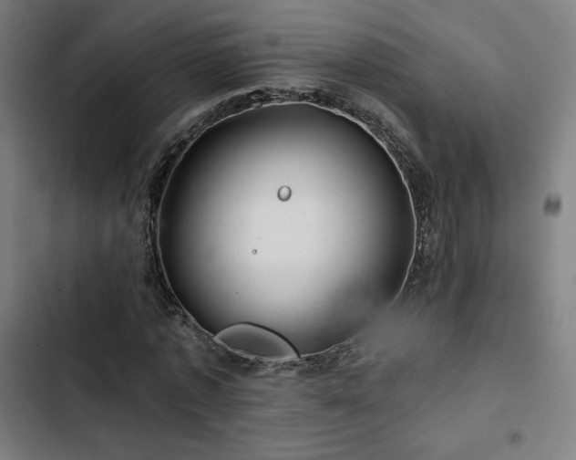 X0000103320773200809051146