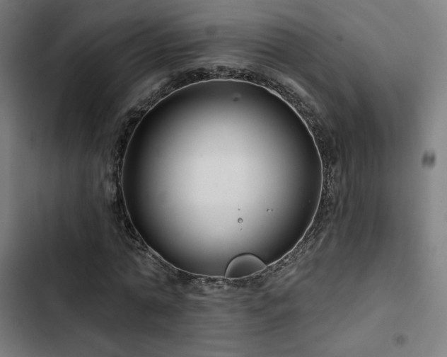 X0000103320774200809051146